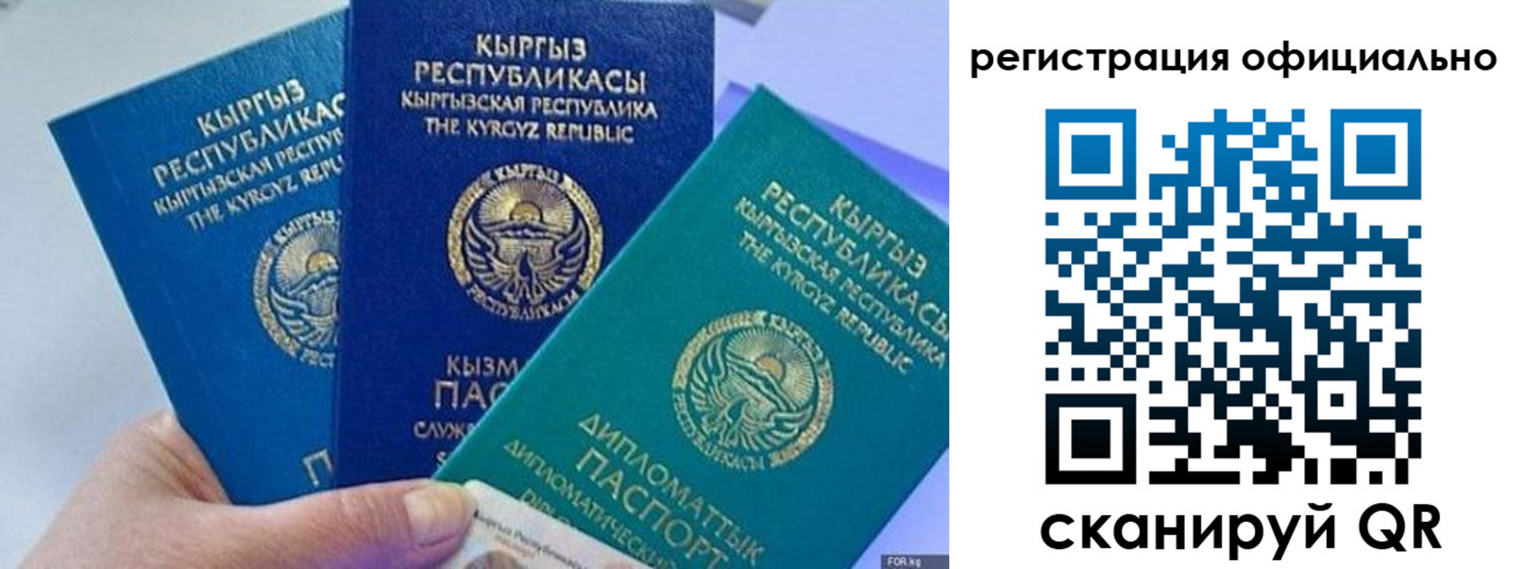 прописка в Бородино